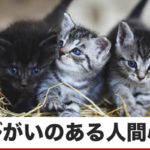 ノラ猫にエサを与える人の行動心理