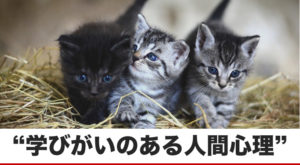 ノラ猫にエサを与える人の行動心理