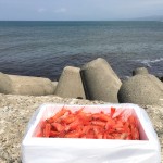 『増毛えび地酒まつり2016』に行ってきた!