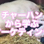 チャーハンの本当の作り方に、マーケティングの重大な学びがあった話