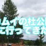 カムイの杜公園に行ってきました！