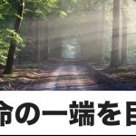 ひょんすぎる所から、天命の一端を垣間見た!