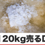 【塩120kg】を売り込むダイレクトメールから得た学び