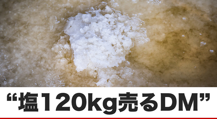 【塩120kg】を売り込むダイレクトメールから得た学び